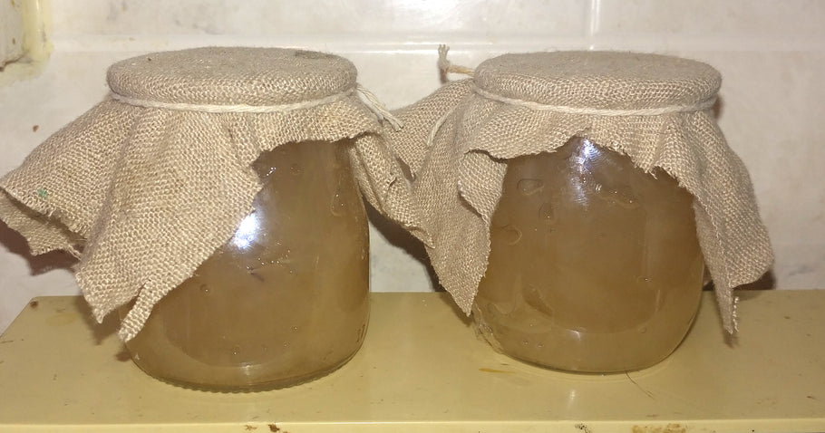 Apple Marmalade Using Apples that Date to the 18th Century