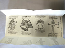 Load image into Gallery viewer, The beginning, progress and end of man