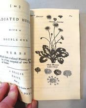 Load image into Gallery viewer, Virtues of British Herbs